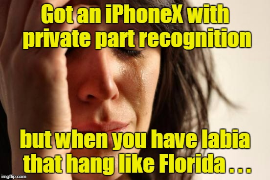 First World Problems Meme | Got an iPhoneX with private part recognition but when you have labia that hang like Florida . . . | image tagged in memes,first world problems | made w/ Imgflip meme maker