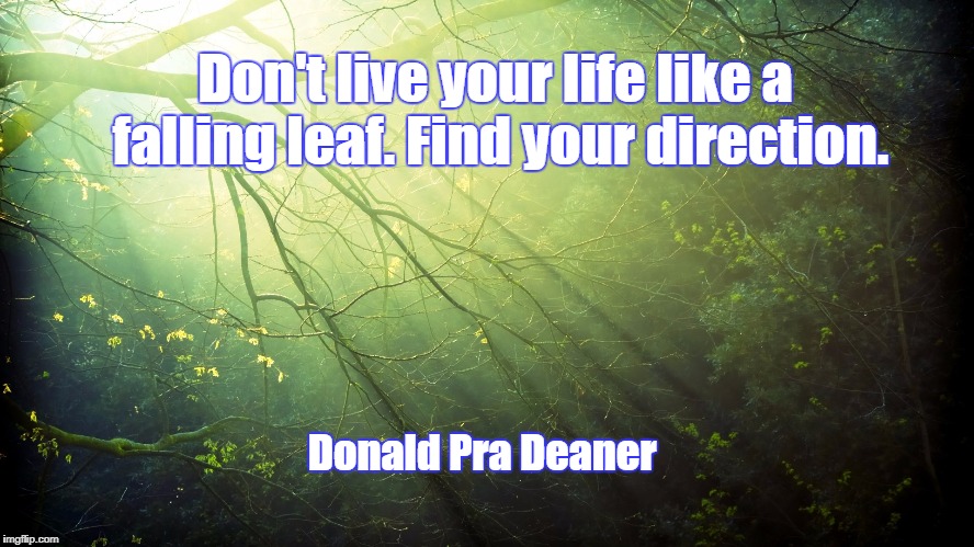 Nature | Don't live your life like a falling leaf. Find your direction. Donald Pra Deaner | image tagged in nature | made w/ Imgflip meme maker