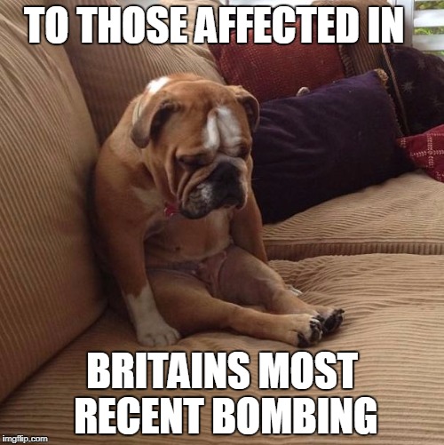 Commiserations to the families affected  | TO THOSE AFFECTED IN; BRITAINS MOST RECENT BOMBING | image tagged in bulldogsad,terrorist attack,uk,sad news,rip | made w/ Imgflip meme maker