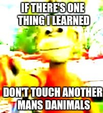 Dannymoles | IF THERE'S ONE THING I LEARNED; DON'T TOUCH ANOTHER MANS DANIMALS | image tagged in dannyal,dank,funny,mascots,food | made w/ Imgflip meme maker