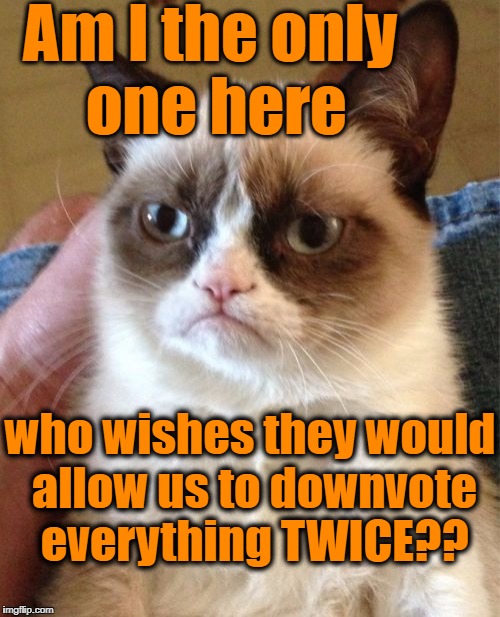 Grumpy Cat Meme | Am I the only one here who wishes they would allow us to downvote everything TWICE?? | image tagged in memes,grumpy cat | made w/ Imgflip meme maker