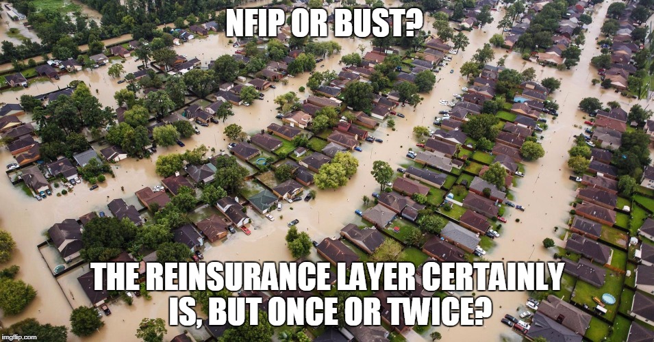 NFIP OR BUST? THE REINSURANCE LAYER CERTAINLY IS, BUT ONCE OR TWICE? | image tagged in 104680802-gettyimages-8406695181910x1000 | made w/ Imgflip meme maker
