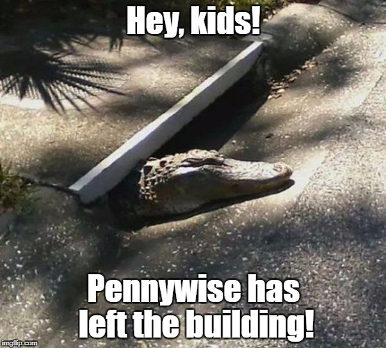 No one floats here! | Hey, kids! Pennywise has left the building! | image tagged in pennywise,sewer,it,crocodile | made w/ Imgflip meme maker