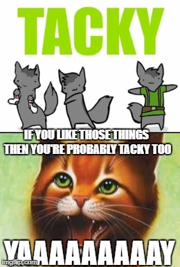 IF YOU LIKE THOSE THINGS THEN YOU'RE PROBABLY TACKY TOO; YAAAAAAAAAY | image tagged in funny cats,memes | made w/ Imgflip meme maker