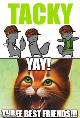 YAY! THREE BEST FRIENDS!!! | image tagged in memes,funny cats | made w/ Imgflip meme maker