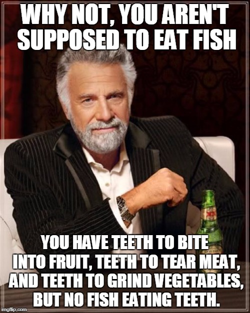 The Most Interesting Man In The World Meme | WHY NOT, YOU AREN'T SUPPOSED TO EAT FISH YOU HAVE TEETH TO BITE INTO FRUIT, TEETH TO TEAR MEAT, AND TEETH TO GRIND VEGETABLES, BUT NO FISH E | image tagged in memes,the most interesting man in the world | made w/ Imgflip meme maker