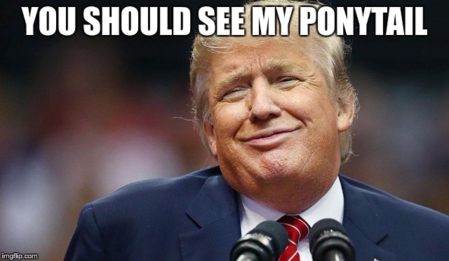 Trump Oopsie | YOU SHOULD SEE MY PONYTAIL | image tagged in trump oopsie | made w/ Imgflip meme maker