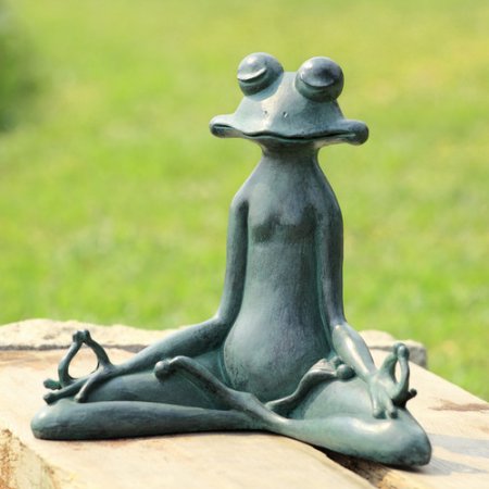 High Quality Yoga frog Blank Meme Template