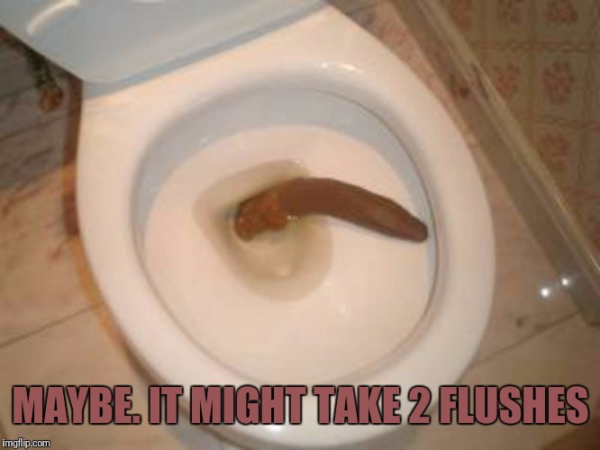 MAYBE. IT MIGHT TAKE 2 FLUSHES | made w/ Imgflip meme maker