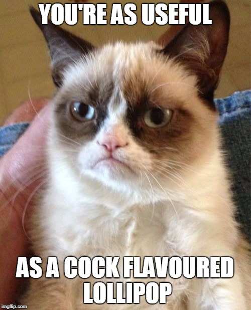 Grumpy Cat Meme | YOU'RE AS USEFUL AS A COCK FLAVOURED LOLLIPOP | image tagged in memes,grumpy cat | made w/ Imgflip meme maker