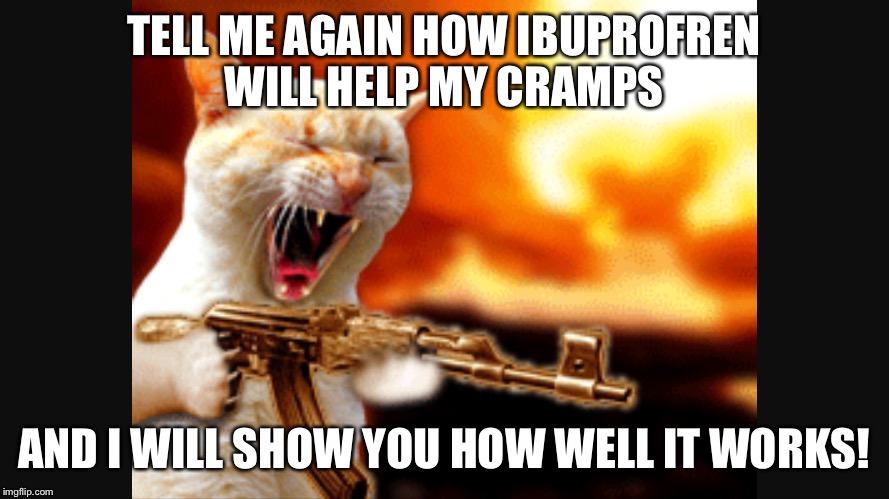 Endometriosis hurts! | TELL ME AGAIN HOW IBUPROFREN WILL HELP MY CRAMPS; AND I WILL SHOW YOU HOW WELL IT WORKS! | image tagged in periods,pain | made w/ Imgflip meme maker