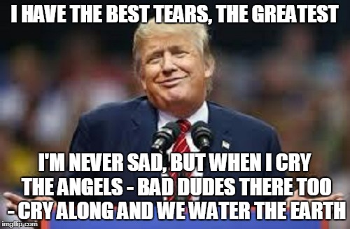 I HAVE THE BEST TEARS, THE GREATEST I'M NEVER SAD, BUT WHEN I CRY THE ANGELS - BAD DUDES THERE TOO - CRY ALONG AND WE WATER THE EARTH | made w/ Imgflip meme maker