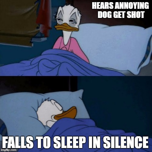 donald duck bed | HEARS ANNOYING DOG GET SHOT; FALLS TO SLEEP IN SILENCE | image tagged in donald duck bed | made w/ Imgflip meme maker