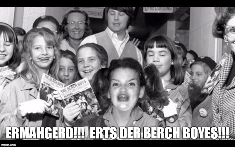 ERMAHGERD!!!  ERTS DER BERCH BOYES!!! | image tagged in ermahgerd der berch boryes | made w/ Imgflip meme maker