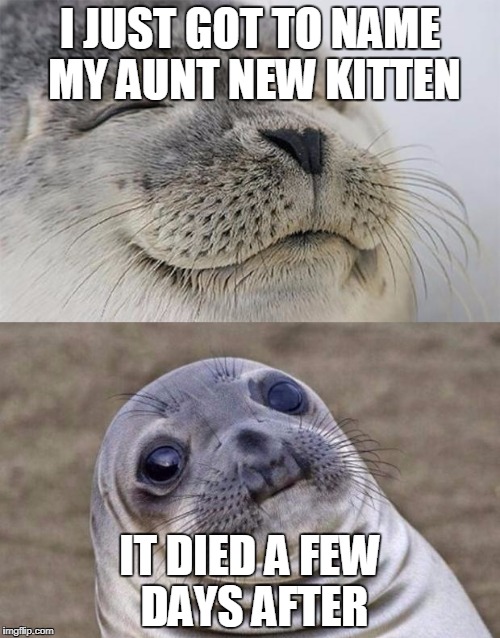 based on what just happened to me rip sky bear(named after native american folktale) | I JUST GOT TO NAME MY AUNT NEW KITTEN; IT DIED A FEW DAYS AFTER | image tagged in animal gaming x,sky bear | made w/ Imgflip meme maker