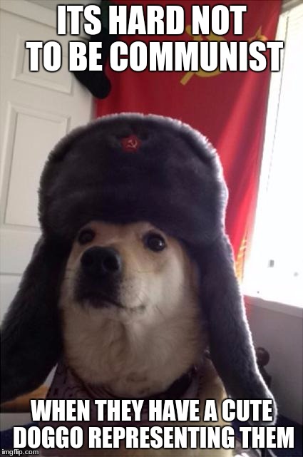 communist dog | ITS HARD NOT TO BE COMMUNIST; WHEN THEY HAVE A CUTE DOGGO REPRESENTING THEM | image tagged in communist dog | made w/ Imgflip meme maker