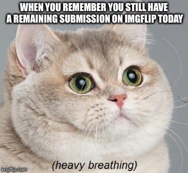 Heavy Breathing Cat | WHEN YOU REMEMBER YOU STILL HAVE A REMAINING SUBMISSION ON IMGFLIP TODAY | image tagged in memes,heavy breathing cat | made w/ Imgflip meme maker