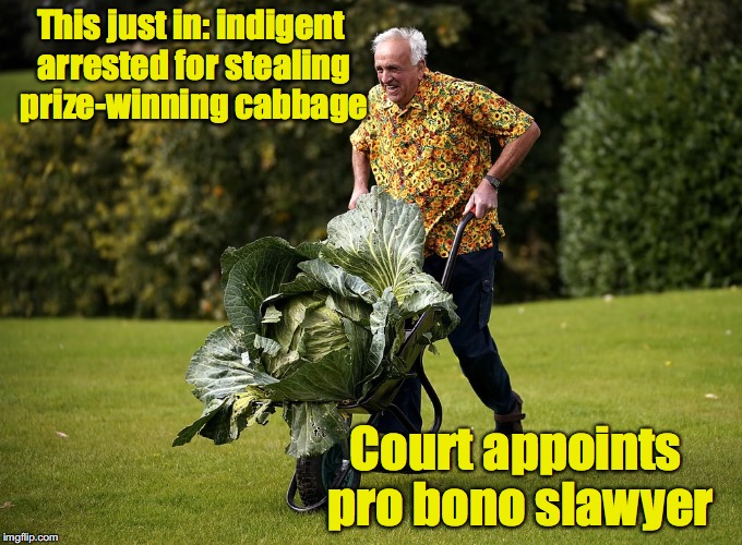 Grower swears "Heads will roll" | This just in: indigent arrested for stealing prize-winning cabbage; Court appoints pro bono slawyer | image tagged in cabbage,bad pun | made w/ Imgflip meme maker