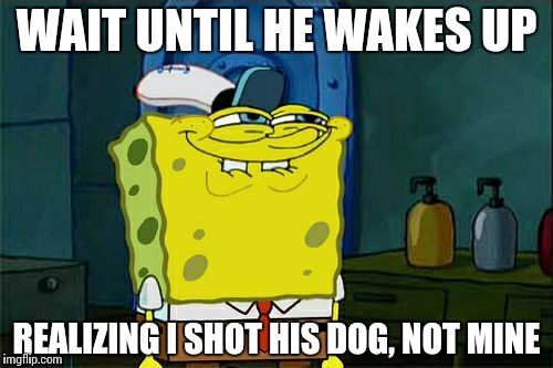 Don't You Squidward Meme | WAIT UNTIL HE WAKES UP REALIZING I SHOT HIS DOG, NOT MINE | image tagged in memes,dont you squidward | made w/ Imgflip meme maker