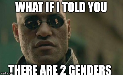 Matrix Morpheus | WHAT IF I TOLD YOU; THERE ARE 2 GENDERS | image tagged in memes,matrix morpheus | made w/ Imgflip meme maker