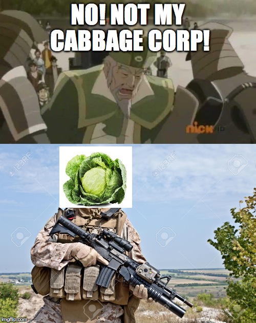 The Truth of the Cabbage Corp | NO! NOT MY CABBAGE CORP! | image tagged in humor | made w/ Imgflip meme maker