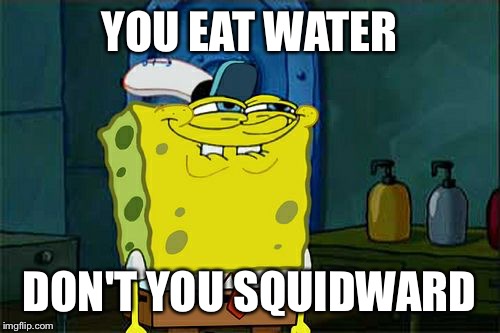 Don't You Squidward Meme | YOU EAT WATER; DON'T YOU SQUIDWARD | image tagged in memes,dont you squidward | made w/ Imgflip meme maker