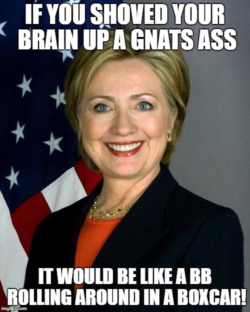Hillary Clinton | IF YOU SHOVED YOUR BRAIN UP A GNATS ASS; IT WOULD BE LIKE A BB ROLLING AROUND IN A BOXCAR! | image tagged in memes,hillary clinton | made w/ Imgflip meme maker