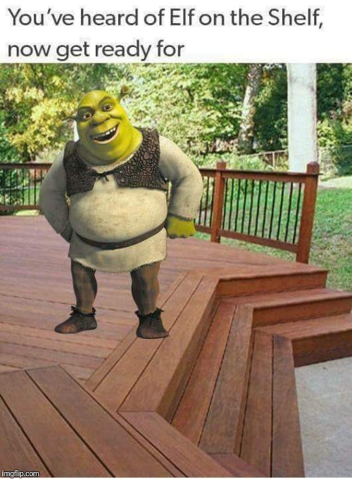 Somebody once told me this | image tagged in shrek,funnymemes | made w/ Imgflip meme maker