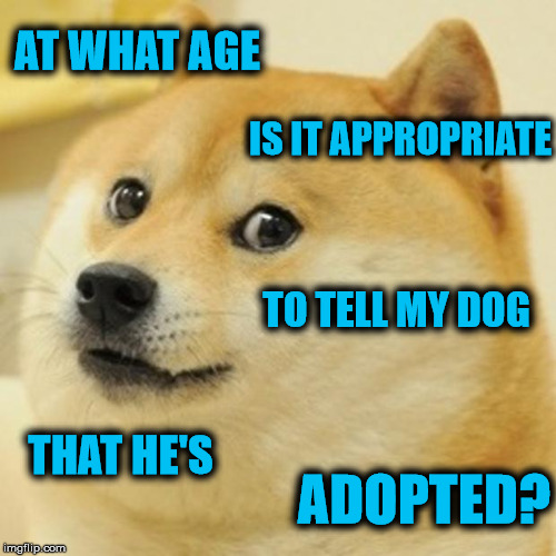 Question | AT WHAT AGE; IS IT APPROPRIATE; TO TELL MY DOG; THAT HE'S; ADOPTED? | image tagged in memes,doge,adopted | made w/ Imgflip meme maker