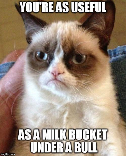 Grumpy Cat Meme | YOU'RE AS USEFUL; AS A MILK BUCKET UNDER A BULL | image tagged in memes,grumpy cat | made w/ Imgflip meme maker