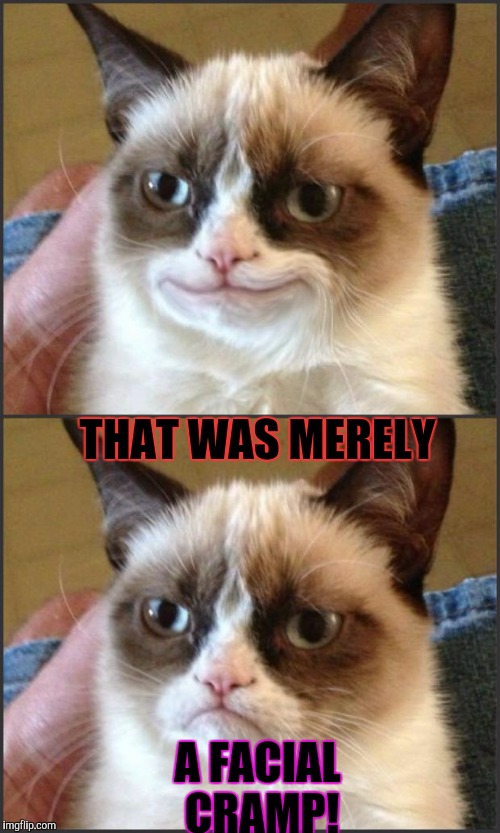 IF YOU SAY SO GRUMPY CAT! :D | THAT WAS MERELY; A FACIAL CRAMP! | image tagged in happy grumpy cat photoshop,funny,memes,cats,animals,humor | made w/ Imgflip meme maker