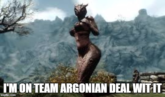 Smokin' Hot Argonian Woman | I'M ON TEAM ARGONIAN DEAL WIT IT | image tagged in skyrim | made w/ Imgflip meme maker