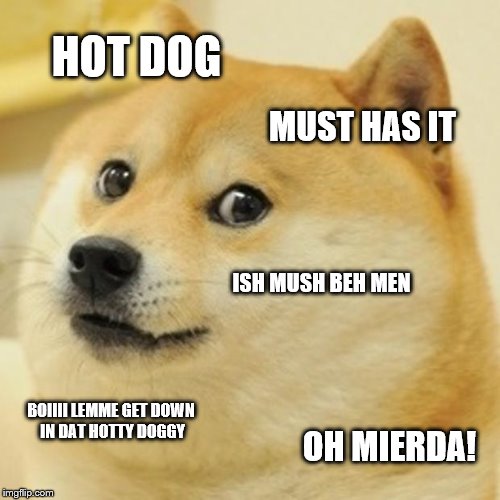 Doge Meme | HOT DOG MUST HAS IT ISH MUSH BEH MEN BOIIII LEMME GET DOWN IN DAT HOTTY DOGGY OH MIERDA! | image tagged in memes,doge | made w/ Imgflip meme maker