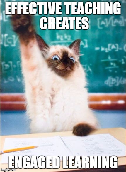 Overeager Student Cat | EFFECTIVE TEACHING CREATES; ENGAGED LEARNING | image tagged in overeager student cat | made w/ Imgflip meme maker
