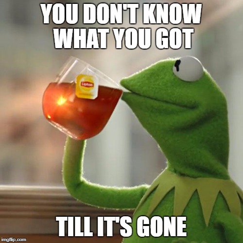 But That's None Of My Business Meme | YOU DON'T KNOW WHAT YOU GOT; TILL IT'S GONE | image tagged in memes,but thats none of my business,kermit the frog | made w/ Imgflip meme maker