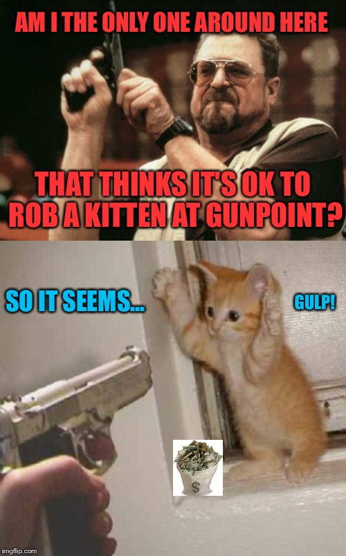 Reach for the sky cat! | AM I THE ONLY ONE AROUND HERE; THAT THINKS IT'S OK TO ROB A KITTEN AT GUNPOINT? GULP! SO IT SEEMS... | image tagged in am i the only one around here,kitten,cat,robbery,gun,money | made w/ Imgflip meme maker