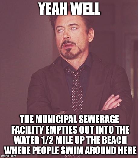 Face You Make Robert Downey Jr Meme | YEAH WELL THE MUNICIPAL SEWERAGE FACILITY EMPTIES OUT INTO THE WATER 1/2 MILE UP THE BEACH WHERE PEOPLE SWIM AROUND HERE | image tagged in memes,face you make robert downey jr | made w/ Imgflip meme maker