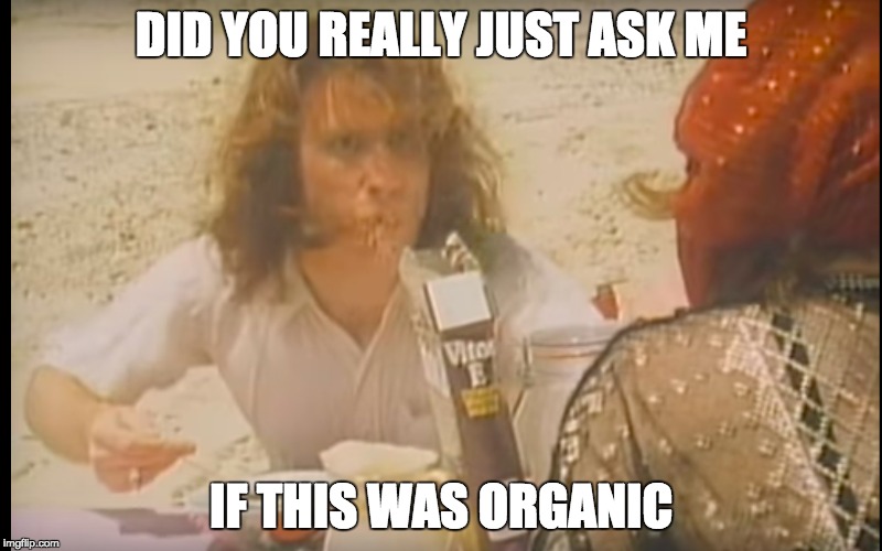 Hippie harry | DID YOU REALLY JUST ASK ME; IF THIS WAS ORGANIC | image tagged in funny meme,did you just assume my gender | made w/ Imgflip meme maker