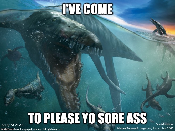 I'VE COME; TO PLEASE YO SORE ASS | image tagged in not even a good onejust bored af | made w/ Imgflip meme maker