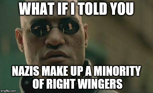 Matrix Morpheus Meme | WHAT IF I TOLD YOU NAZIS MAKE UP A MINORITY OF RIGHT WINGERS | image tagged in memes,matrix morpheus | made w/ Imgflip meme maker