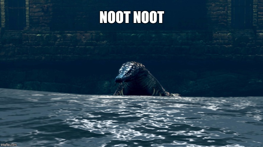 Noot noot | NOOT NOOT | image tagged in noot noot,dark souls,gaping dragon,memes | made w/ Imgflip meme maker