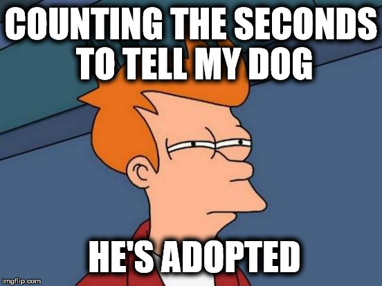 Futurama Fry Meme | COUNTING THE SECONDS TO TELL MY DOG HE'S ADOPTED | image tagged in memes,futurama fry | made w/ Imgflip meme maker