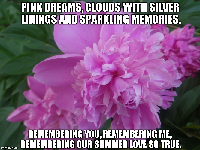 Pink Dreams | PINK DREAMS, CLOUDS WITH SILVER LININGS AND SPARKLING MEMORIES. REMEMBERING YOU, REMEMBERING ME, REMEMBERING OUR SUMMER LOVE SO TRUE. | image tagged in dreams,clouds,memories,summer,summerlove | made w/ Imgflip meme maker