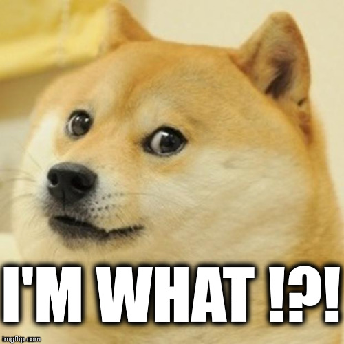 Doge Meme | I'M WHAT !?! | image tagged in memes,doge | made w/ Imgflip meme maker