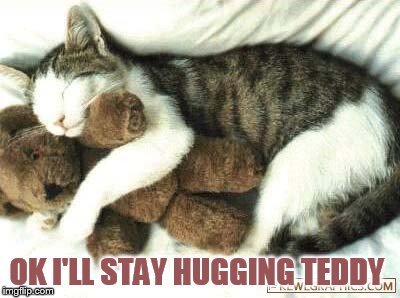 OK I'LL STAY HUGGING TEDDY | made w/ Imgflip meme maker