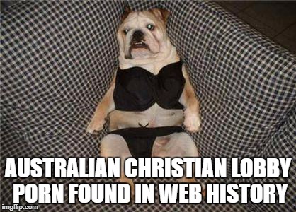 ACL's Sex Fetish | AUSTRALIAN CHRISTIAN LOBBY PORN FOUND IN WEB HISTORY | image tagged in acl's sex fetish | made w/ Imgflip meme maker