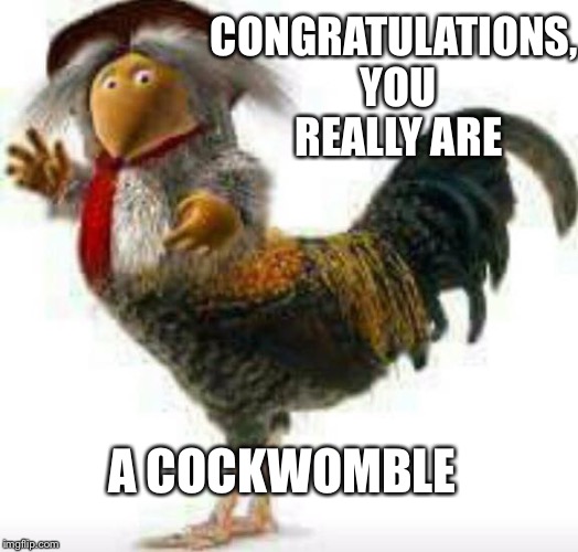 Cockwomble | CONGRATULATIONS, YOU REALLY ARE; A COCKWOMBLE | image tagged in cockwomble | made w/ Imgflip meme maker