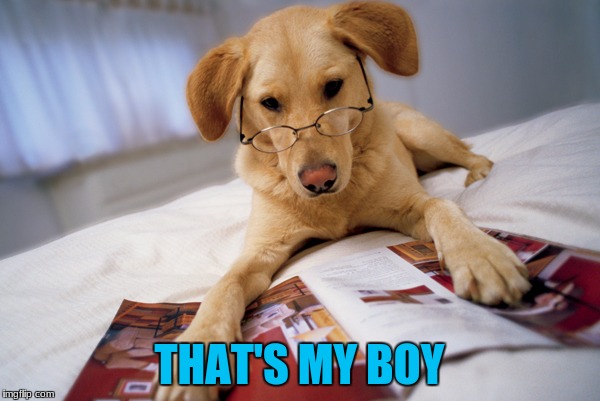 THAT'S MY BOY | made w/ Imgflip meme maker