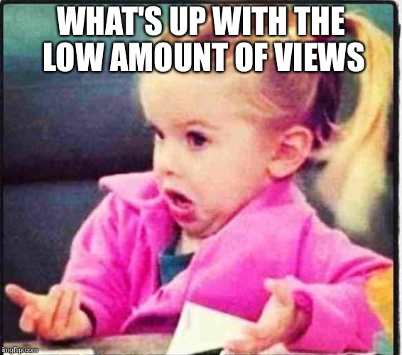 Confused Girl | WHAT'S UP WITH THE LOW AMOUNT OF VIEWS | image tagged in confused girl | made w/ Imgflip meme maker