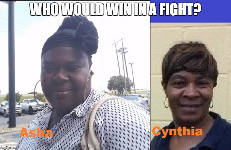 Who would win? Asha or Cynthia? | WHO WOULD WIN IN A FIGHT? | image tagged in catfight | made w/ Imgflip meme maker